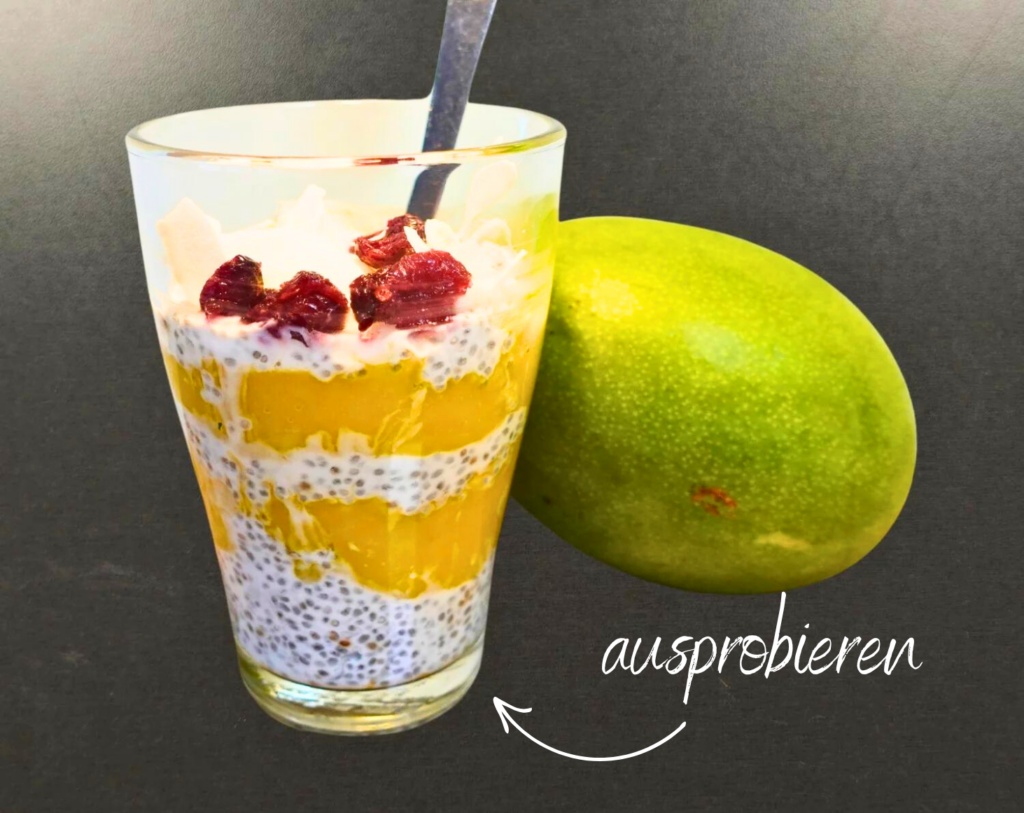 Pudding,Glas,Mango,ausprobieren,gesund,Diabetes,Chia-Samen,essen,satt,Nachtisch