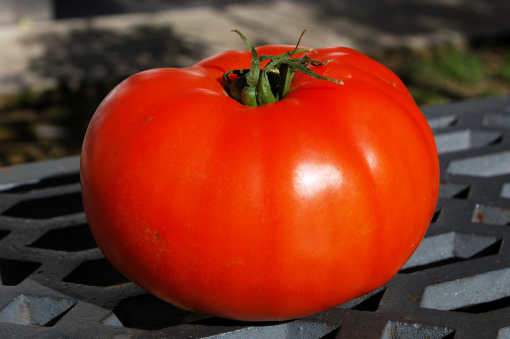 Tomaten, hilft bei Diabetes, gut, Blutzucker, Herz