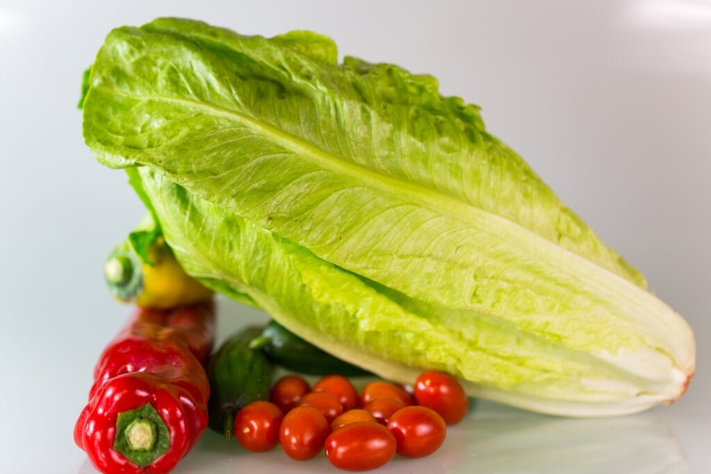 Salat,Romana,gesund,vegan,für Brotsalat