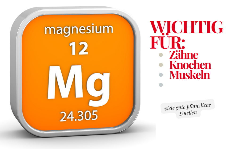 Mg, Magnesium, Knochen, Muskeln,wichtig, Grafik,Lebens-Retter