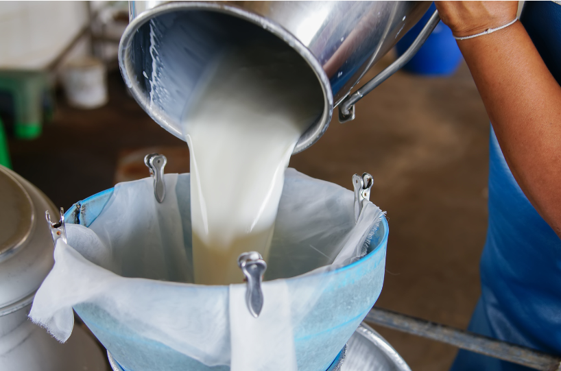 Milch,Weiterverarbeitung,fettarm,fett,Kessel,aussieben,abschöpfen,welche, Milch,trinken,Diabetes